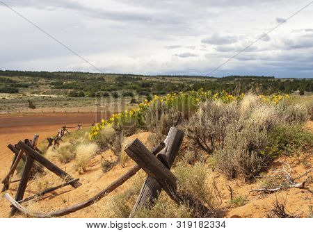 Coral Pink Sand Dunes State Park In Utah