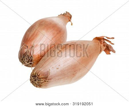 Two Bulbs Of Shallot Onion Close-up Isolated On White Background