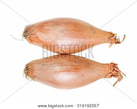 Top View Of Two Bulbs Of Shallot Onion Isolated On White Background