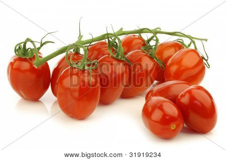 frischen italienischen Pomodori Tomaten am Rebstock auf weißem Hintergrund