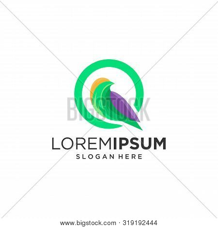 Modern Abstract Beautiful Bird Logo Vector Template