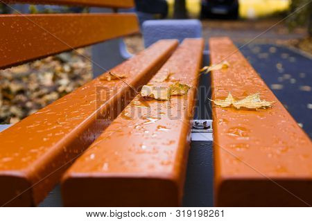 Empty Benches After Rain With A Few Leaves. Autumn.