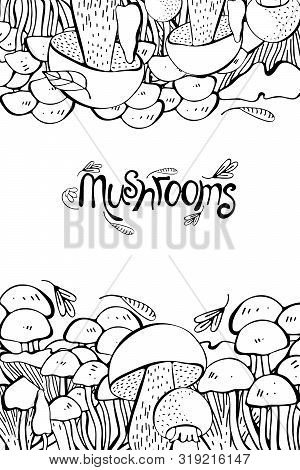 Mushroom Hand Drawn Vector Frame. Isolated Sketch Organic Food Drawing Template. Champignon, Morel, 