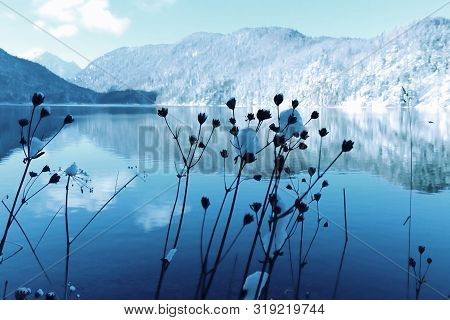 Winter Lake Landscape, Toned In Blue Colors For Seasonal Background
