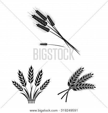 Bitmap Illustration Of Wheat And Stalk Logo. Set Of Wheat And Grain Stock Bitmap Illustration.