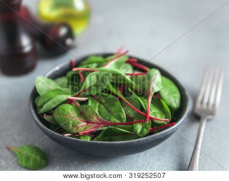 Fresh Salad Of Green Chard Leaves Or Mangold On Gray Stone Background. Fresh Baby Beet Leaves In Cra