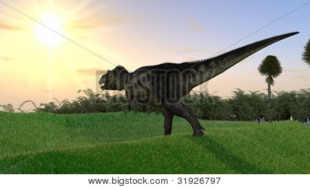 Tyrannosaurus på græs terræn