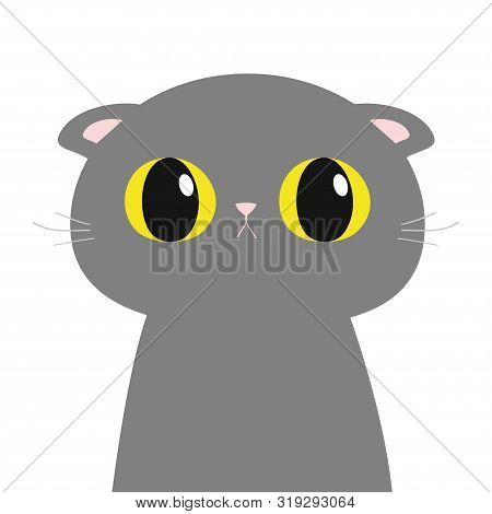 British Shorthair Cat Round Head Face, Body. Cute Funny Cartoon Character. Big Yellow Eyes. Sad Emot