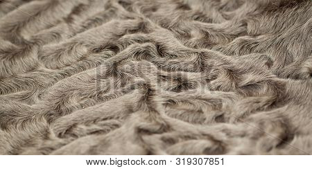Soft Brown Fur Lambskin With A Beautiful Texture