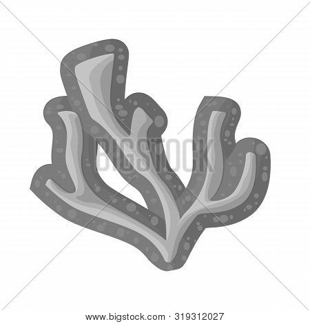Vector Design Of Lichen And Algae Sign. Set Of Lichen And Water Stock Vector Illustration.