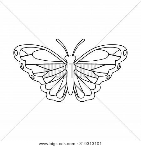 Vector Design Of Butterfly And Creature Icon. Collection Of Butterfly And Wildlife Vector Icon For S