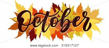 October, Vector Script With Decorative Maple Leaves Elements. Hand Drawn Brush Lettering For Autumn 