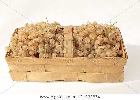groseilles blanches