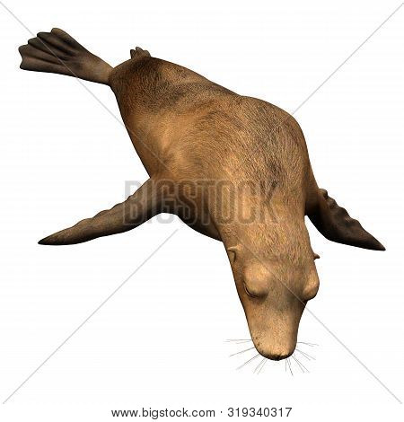 3D Rendering Harbor Seal On White