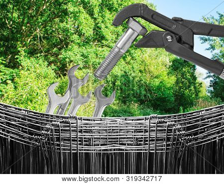 Big Gray Wrench Feeding Little Spanners In Wire Basket Outdoor In Forest
