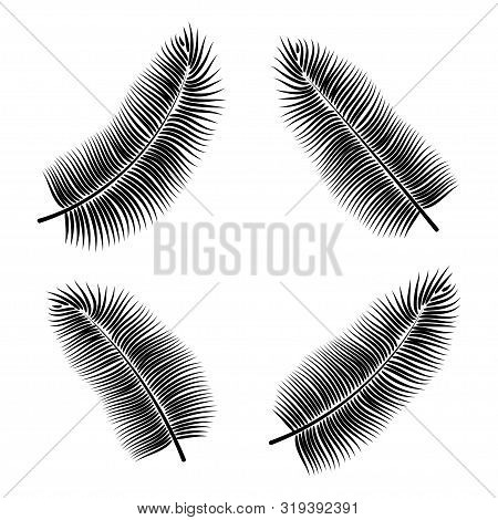 Dypsis For Decorative Design. Isolated Sign Symbol. Isolated Vector Illustration. Summer Tropical Le