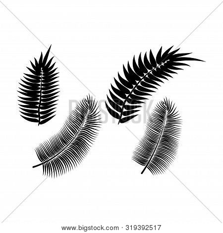 Dypsis For Decorative Design. Isolated Sign Symbol. Isolated Vector Illustration. Summer Tropical Le