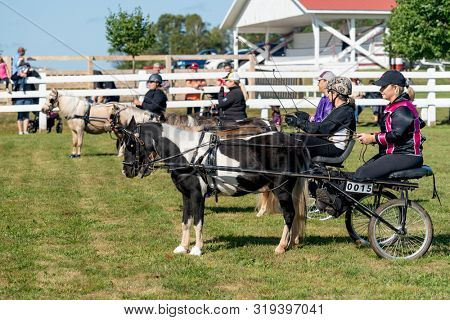 Dundas, Prince Edward Island / Canada - August, 25, 2019 Competitors circling the ring at the minature horse competition at the PEI Plowing Match and Agricultural Fair