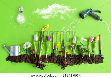 Flowrers Soil Clouds Light Environmental Green Lovely