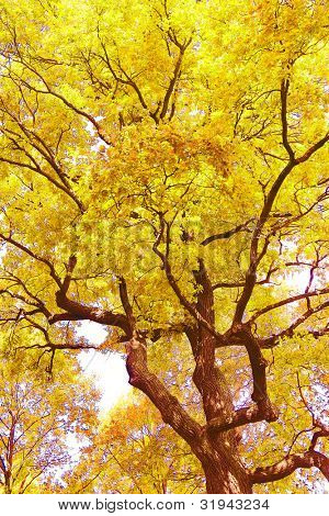 Park Sicht nostalgischen Szene