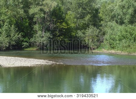 Riverbank With Green Trees. Ulba River In Summer With Green Trees On The Banks. Dense Forest. Green 