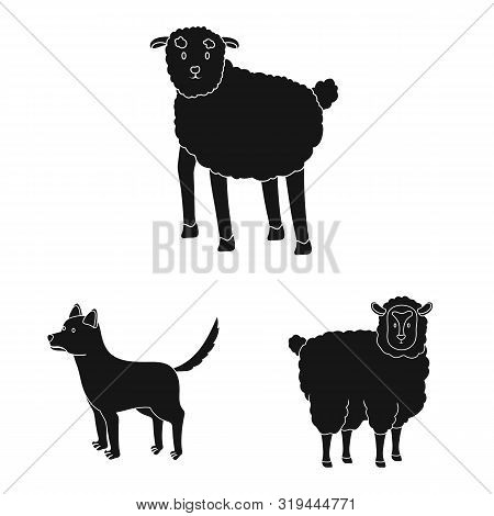 Vector Illustration Of Ranch And Organic Icon. Set Of Ranch And Food Stock Vector Illustration.