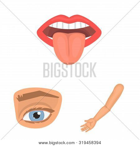 Vector Illustration Of Body And Part Symbol. Set Of Body And Anatomy Stock Vector Illustration.