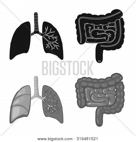 Isolated Object Of Biology And Scientific Icon. Set Of Biology And Laboratory Vector Icon For Stock.