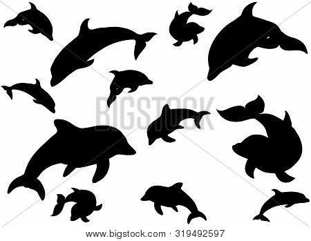 Black Illustration Vector Pattern Of Swimming Dophins Isolated On White Background For Print
