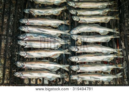 Caplin (mallotus Villosus), Several Small Fishes On The Grill