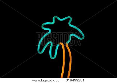 Palm Tree Neon Sign Lighting Palm Lamp Modern Minumal Black Background Horizontal