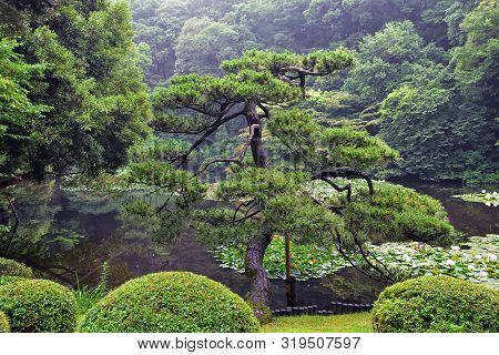 Traditional Japanese Gardens In Public Parks In Tokyo, Japan. Views Of Stone Lanterns, Lakes, Ponds,