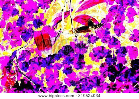 A Fantasy Multicolored Shrub Of Leaves, Algeria