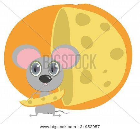 Ratinho mantenha paz de queijo