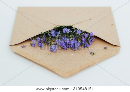 Little Cute Blue Forget-me-nots In A Kraft Paper Envelope, Selective Focus. Beautiful Bouquet Of Blu