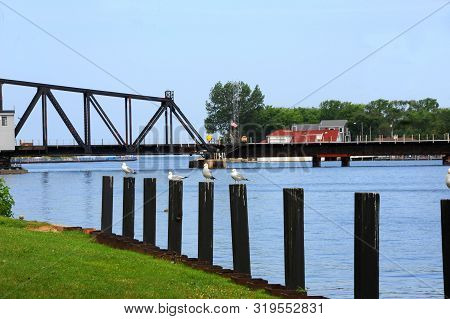 Gulls Sit On Wooden Pilings In Front Of St. Josephs' Swingbridge