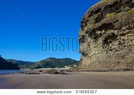 View Of Sunny Piha Beach, New Zealand