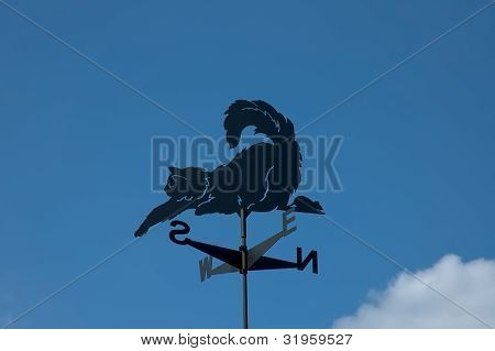 Banderuola
