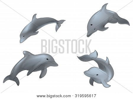 Hand Drawn Illustration Set Of Vector Swimming Dophins Isolated On White Background