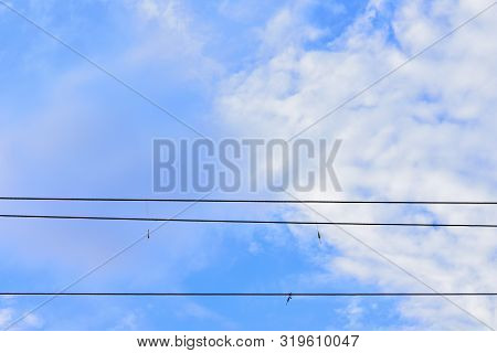 The Float Is Tangled In The Power Line, High In The Sky Against The White Clouds