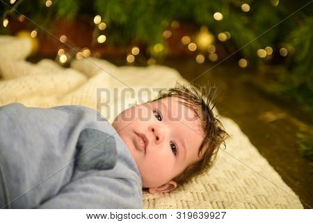 The Child Lies Under The Tree. Cute Portrait Of Little Baby Celebrates Christmas. Boy In Boytie Lies