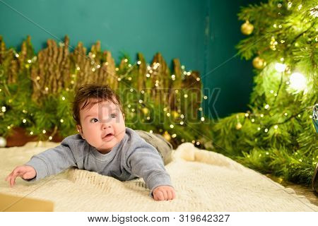 The Child Lies Under The Tree. Cute Portrait Of Little Baby Celebrates Christmas. Boy In Boytie Lies