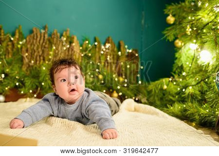 The Child Lies Under The Tree. Cute Portrait Of Little Baby Celebrates Christmas. Boy In Boytie Lies