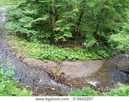 Mountain Curve River Green Foliar Forest View From Above Hill Carpathian Ukraine Beech Trees Nature