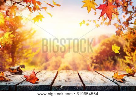 Autumn Table With Red And Yellow Leaves And Forest Background