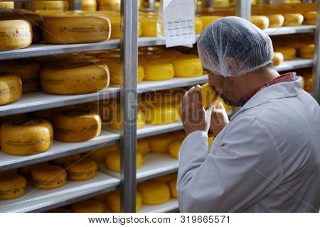 Cheesemaker checking ready product in a storage room