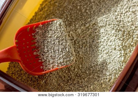 Cat Toiler - Litter In A Box With Red Plastic Scoop