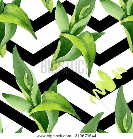 Bamboo Green Leaves. Watercolor Background Illustration Set. Seamless Background Pattern.