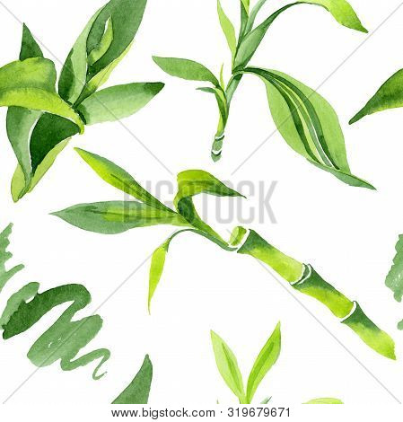 Bamboo Green Leaves. Watercolor Background Illustration Set. Seamless Background Pattern.