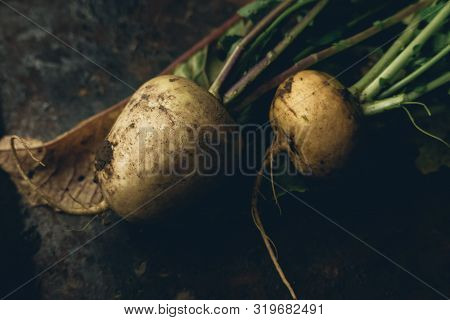 Turnip With Haulm On The Black Rustic Background.
